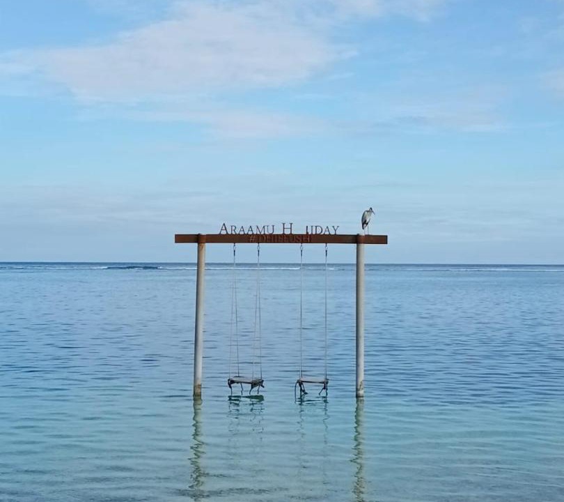 Photo of Others in Dhiffushi