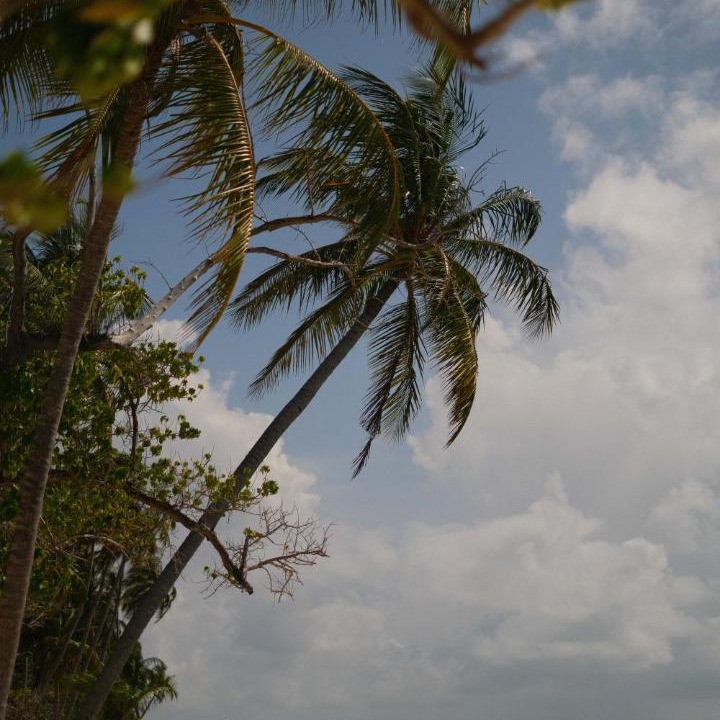 Photo of Others in Dhiffushi