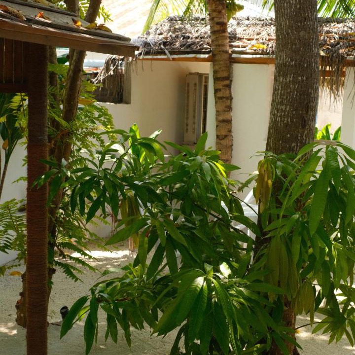 Photo of Others in Dhiffushi
