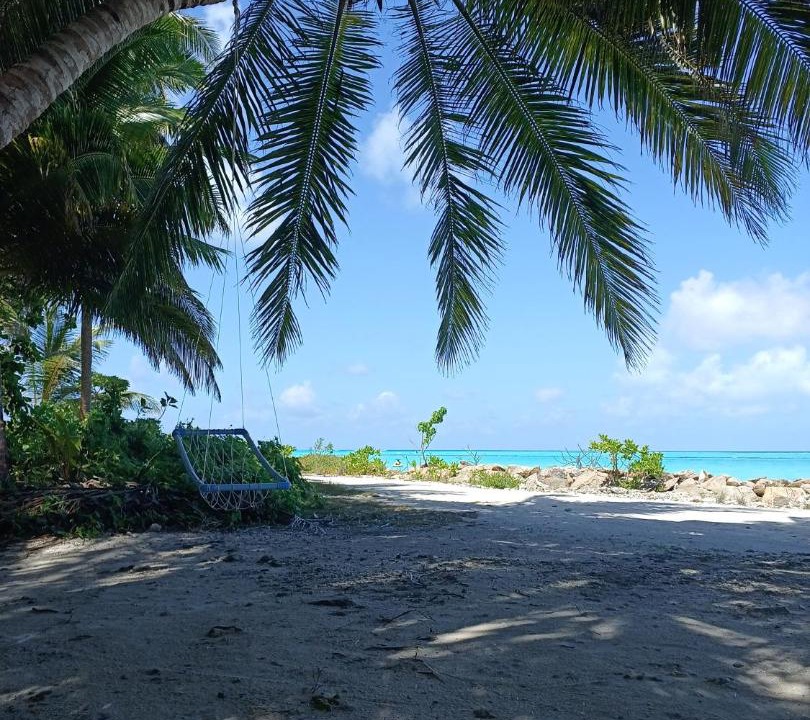 Photo of Others in Milandhoo