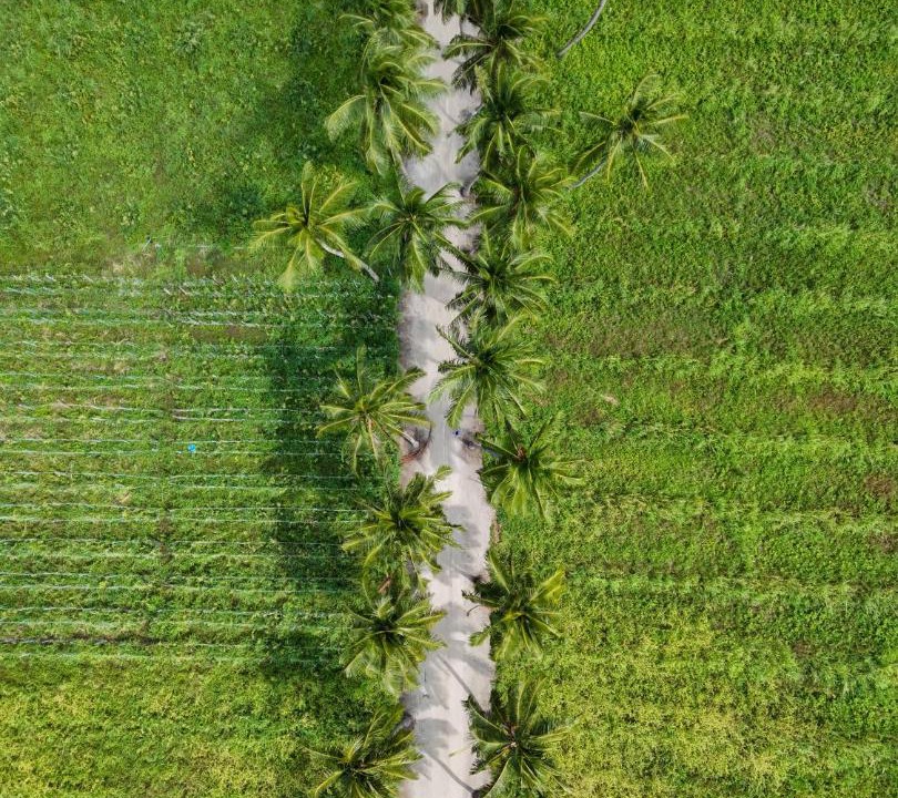 Photo of Others in Thoddoo