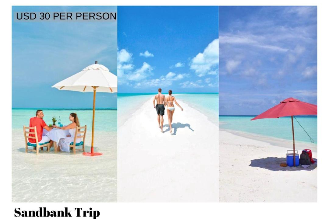 Photo of Others in Dhiffushi