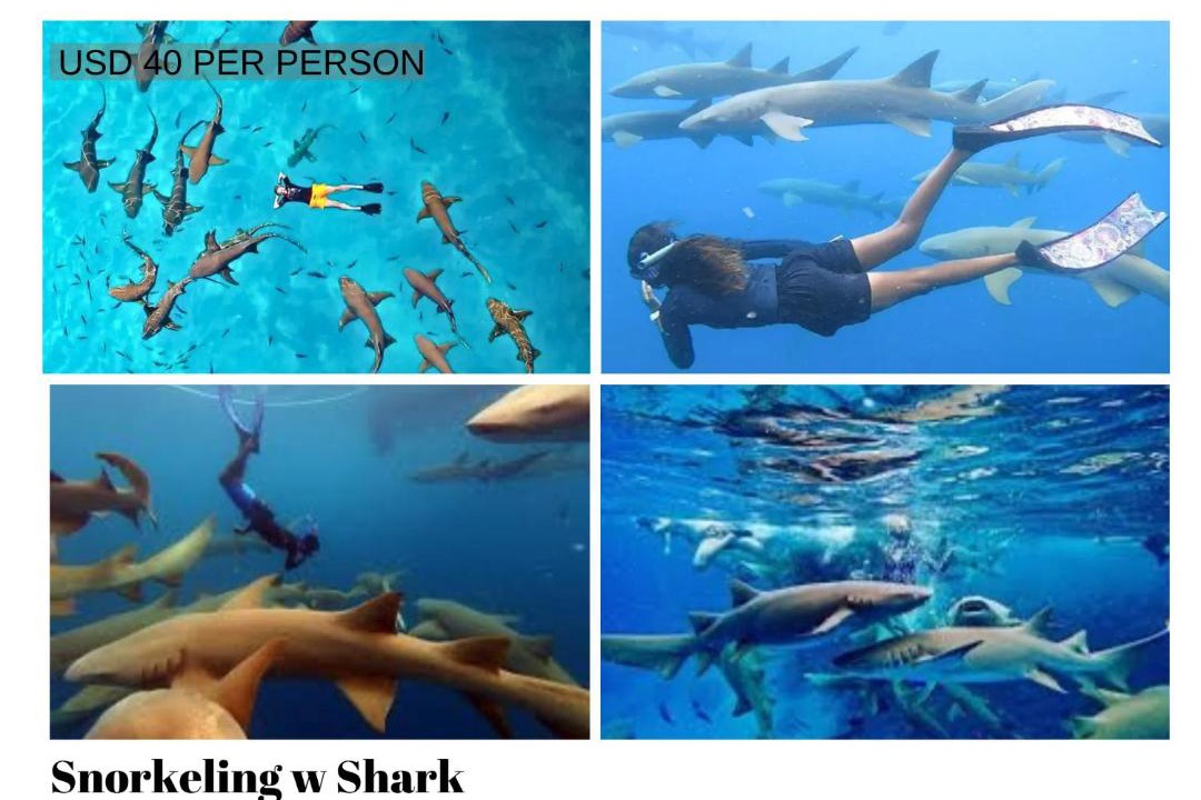 Photo of Others in Dhiffushi