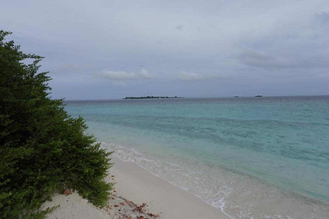 Photo of Others in Thinadhoo