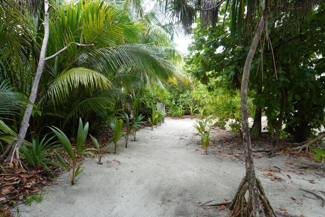Photo of Others in Thinadhoo