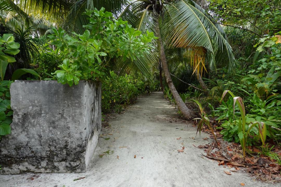 Photo of Others in Thinadhoo