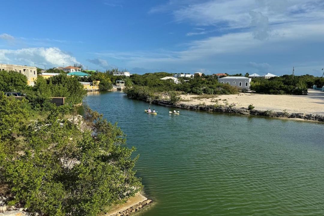 Photo of Others in Discovery Bay
