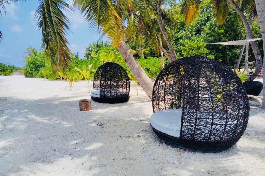 Photo of Others in Rakeedhoo