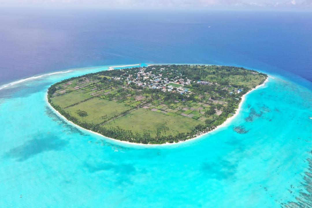 Photo of Others in Thoddoo