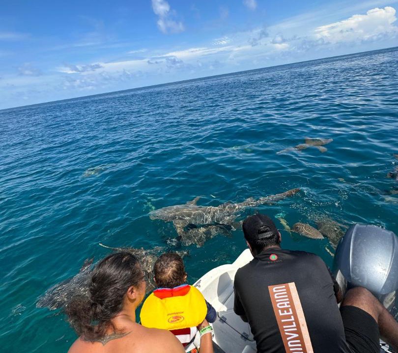 Photo of Others in Fulidhoo