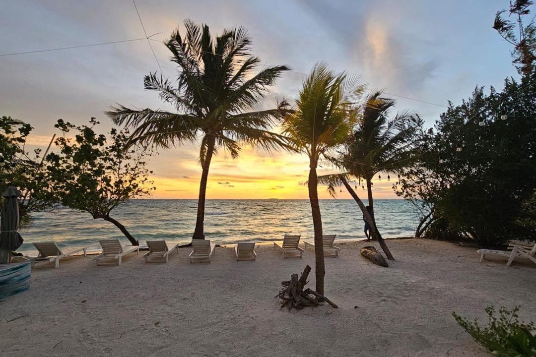 Photo of Others in Dhiffushi