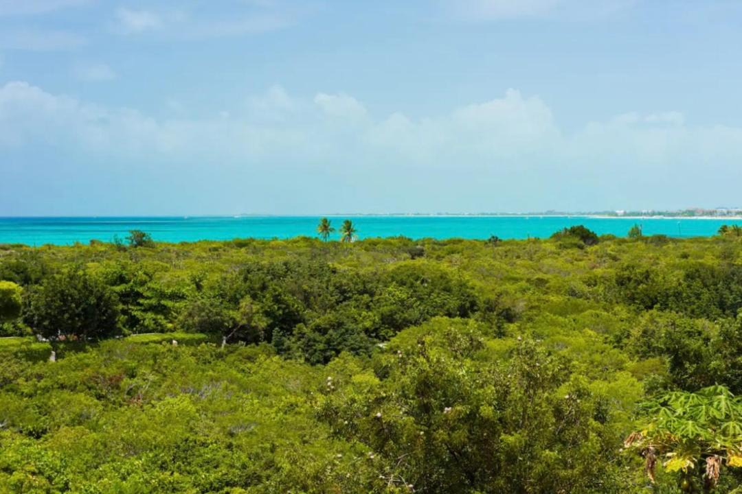Photo of Others in The Bight