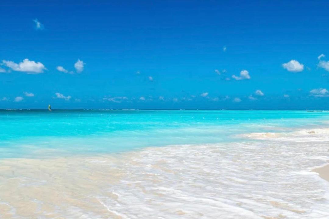 Photo of Others in The Bight