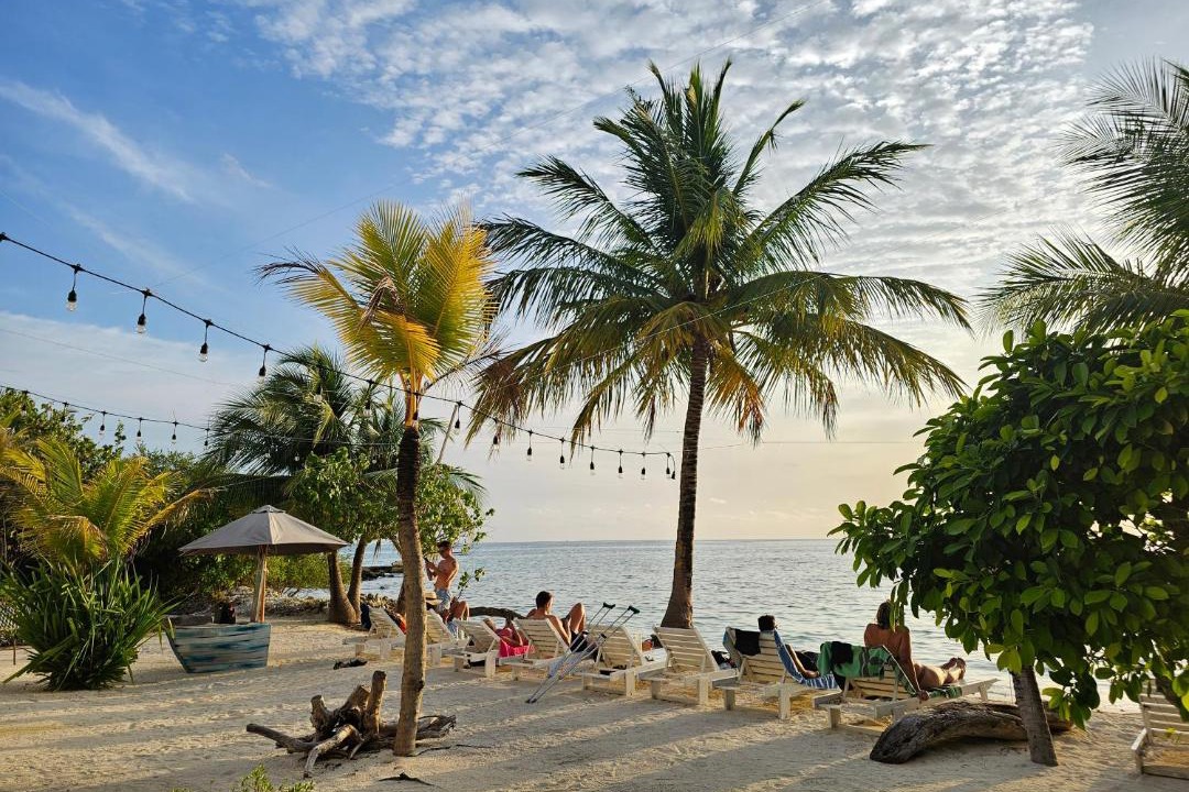 Photo of Others in Dhiffushi