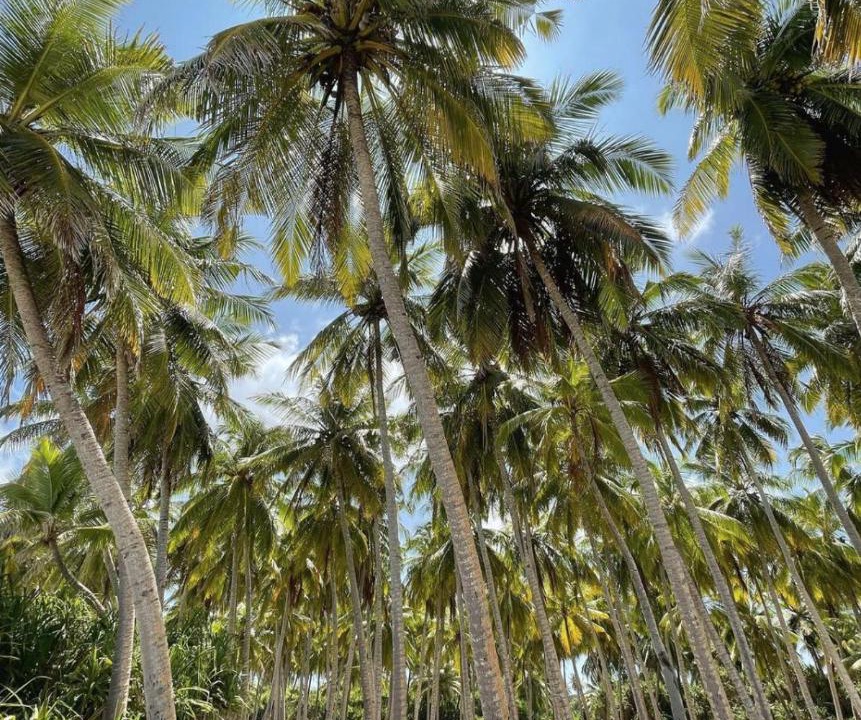Photo of Others in Fuvahmulah