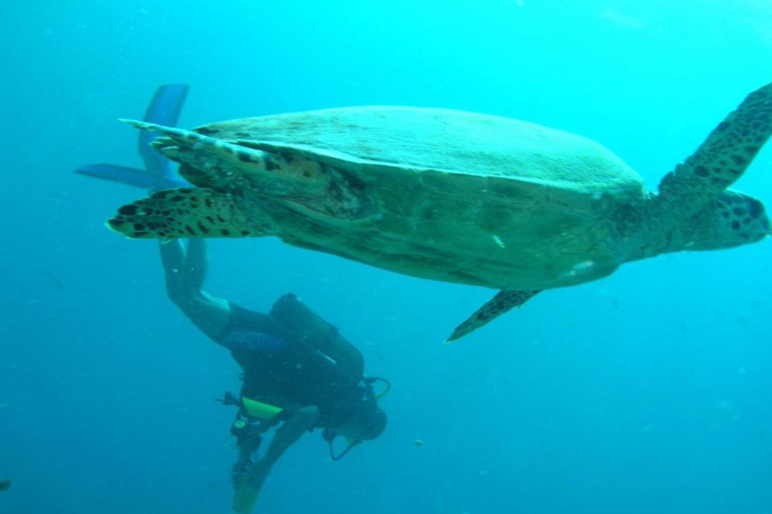 Photo of Others in Fuvahmulah