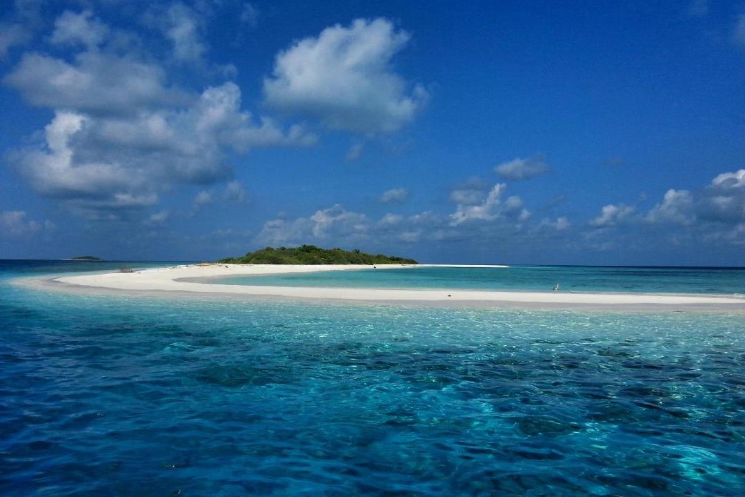 Photo of Others in Dharavandhoo