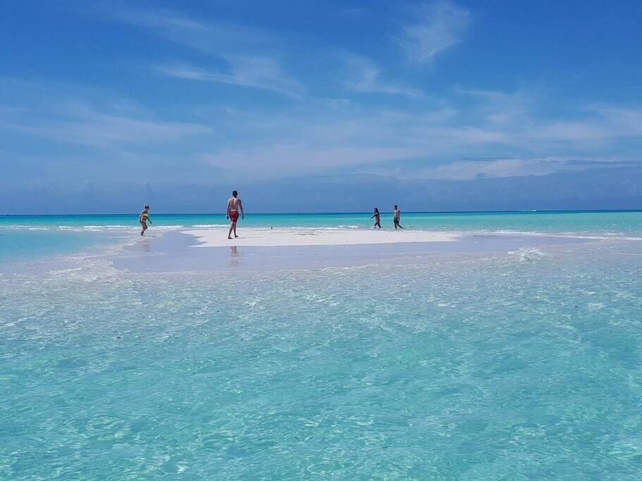 Photo of Others in Long Bay