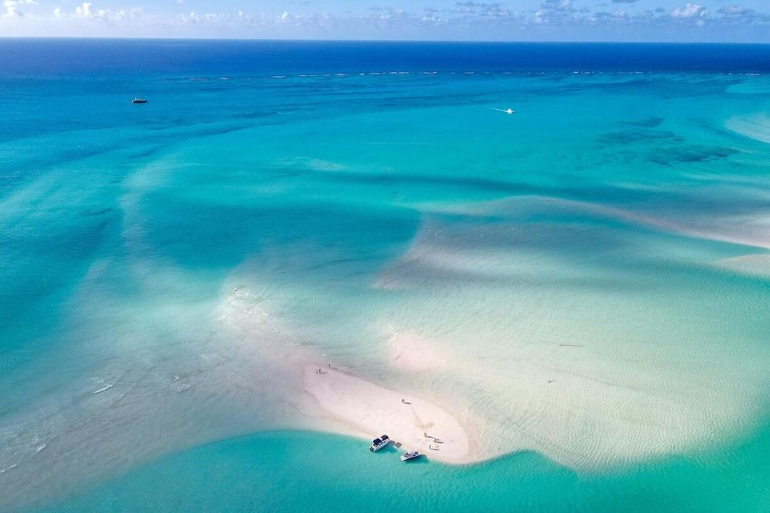 Photo of Others in Long Bay