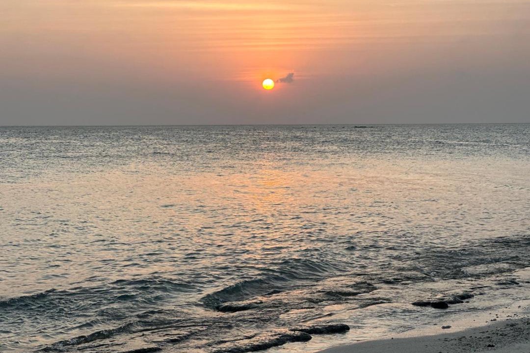 Photo of Others in Thoddoo