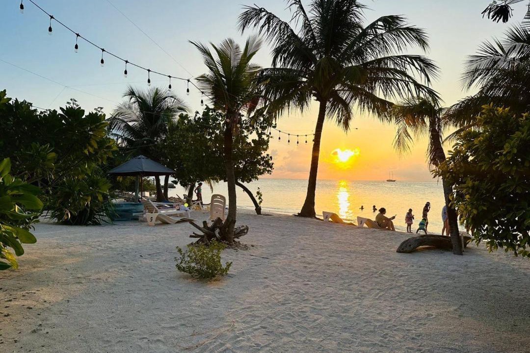 Photo of Others in Dhiffushi