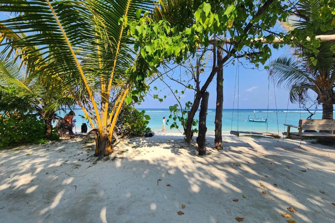 Photo of Others in Hulhumale