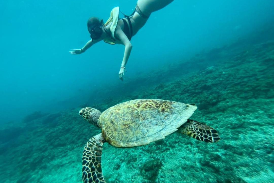 Photo of Others in Huraa
