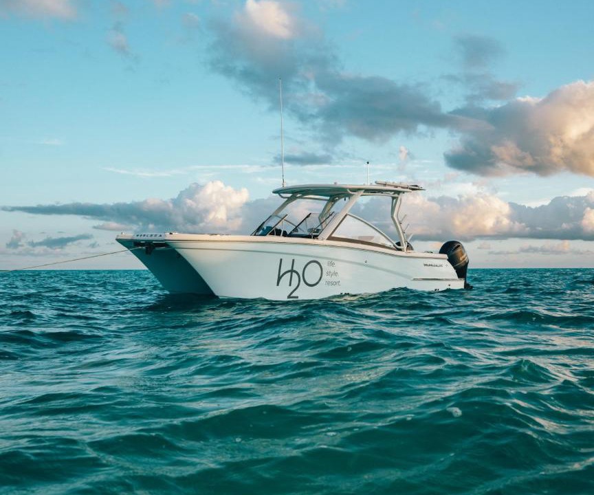 Photo of Others in Long Bay