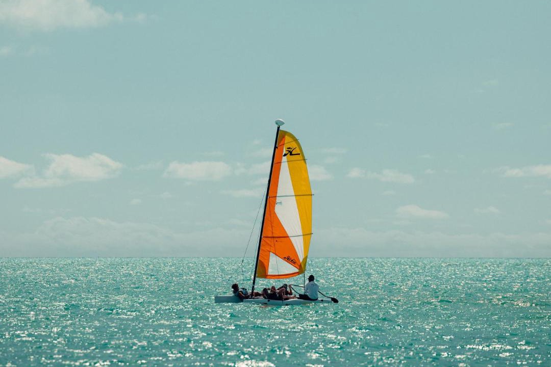 Photo of Others in Long Bay