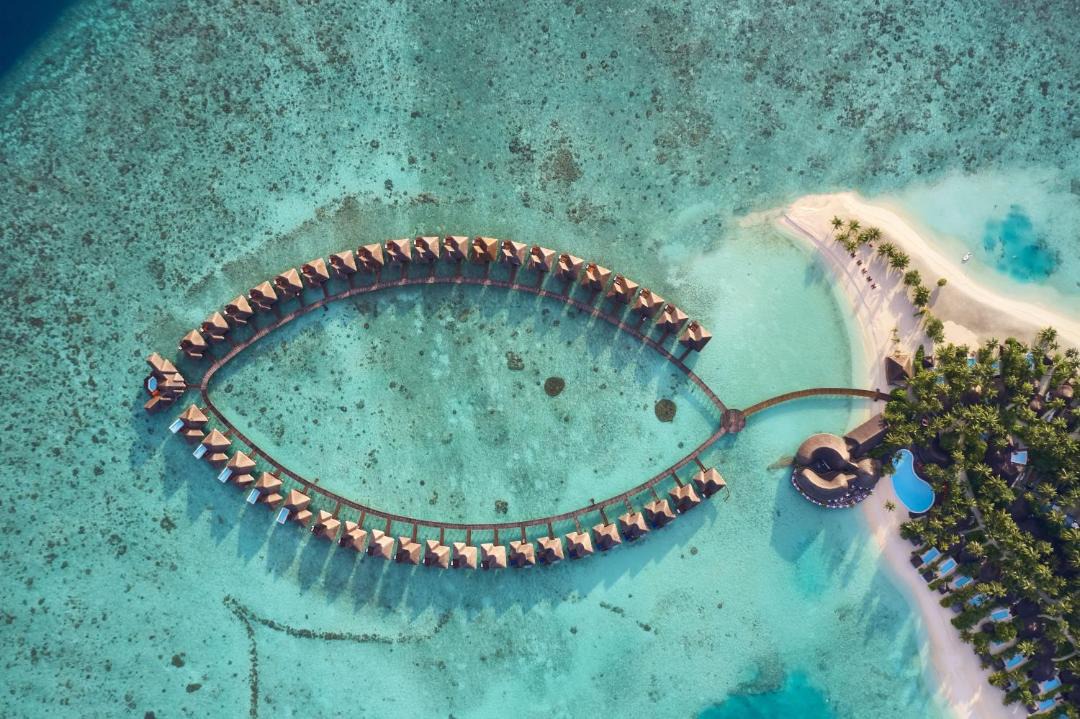 Photo of Others in Vilu Reef