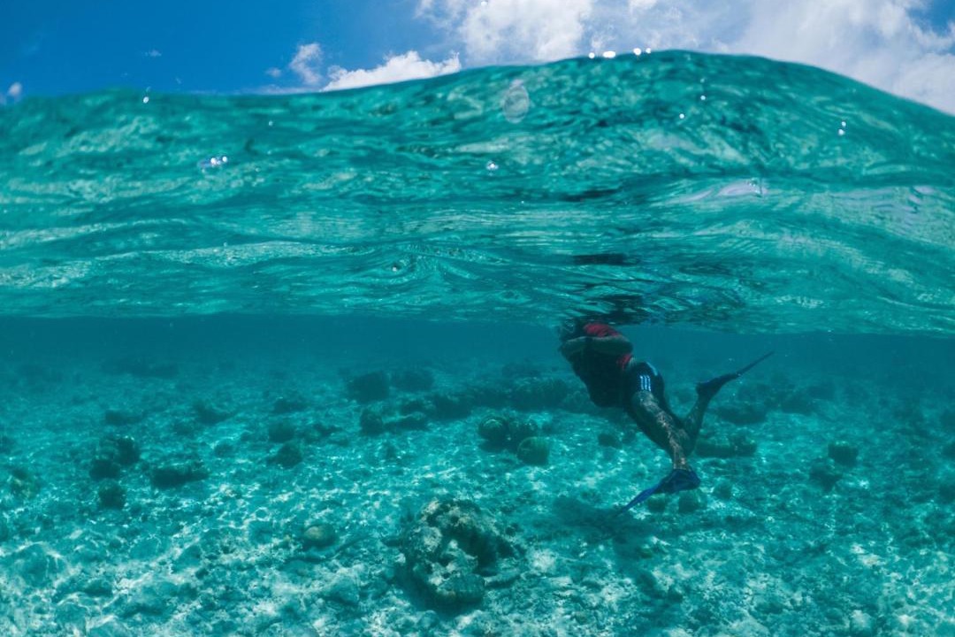 Photo of Others in Rasdhoo