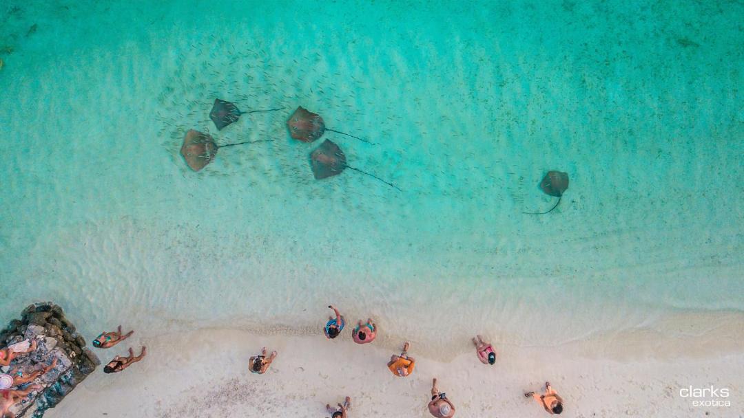 Photo of Others in Kamadhoo