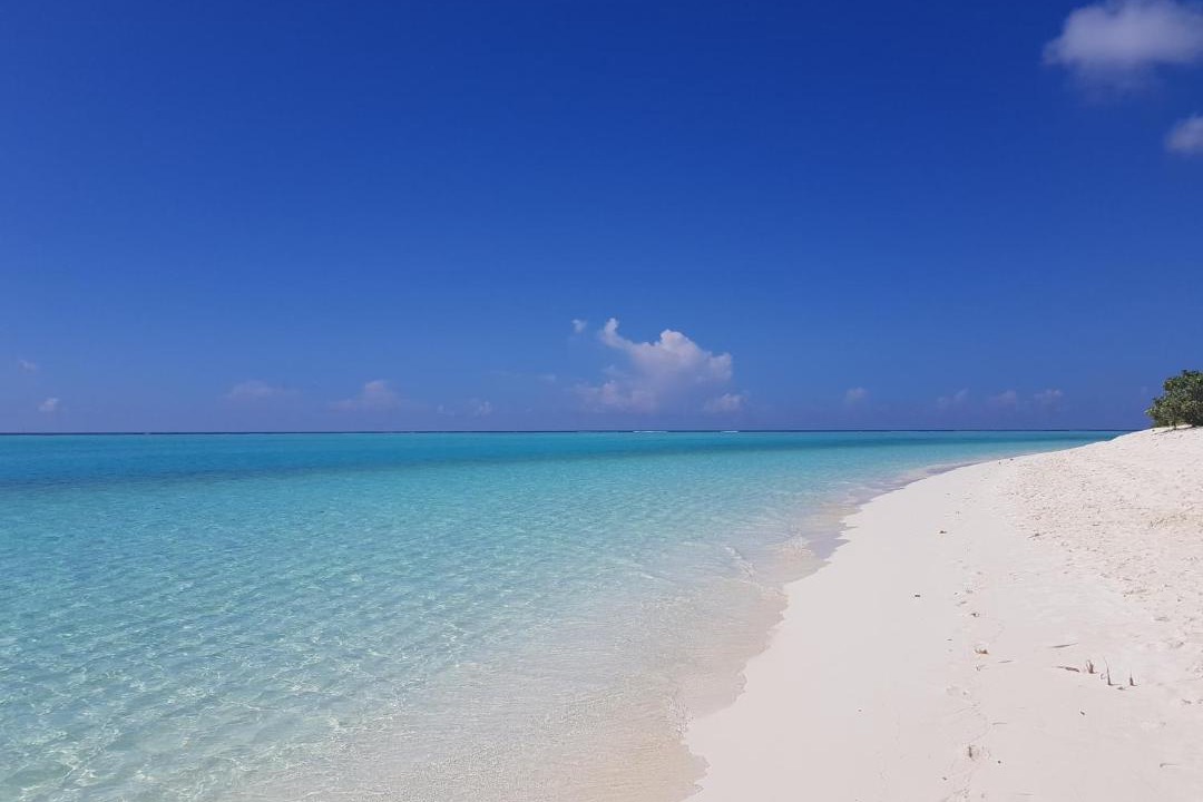 Photo of Others in Thoddoo
