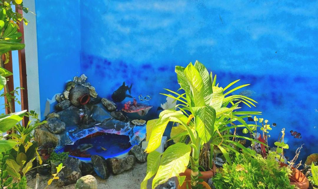Photo of Others in Dhangethi