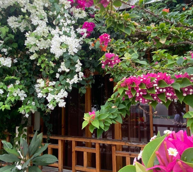 Photo of Others in Fulidhoo