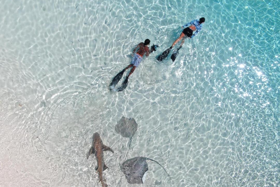 Photo of Others in Maafushi