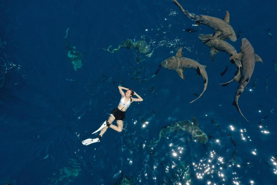 Photo of Others in Fulidhoo