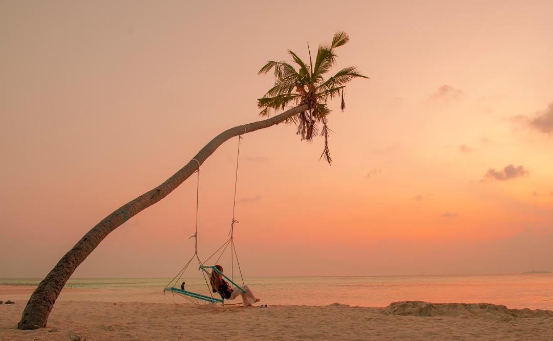 Photo of Others in Dhangethi