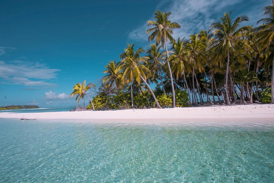Photo of Others in Thimarafushi