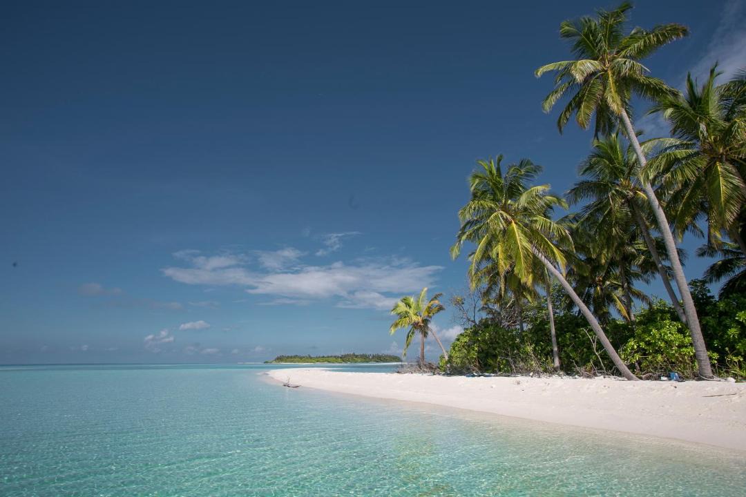 Photo of Others in Thimarafushi