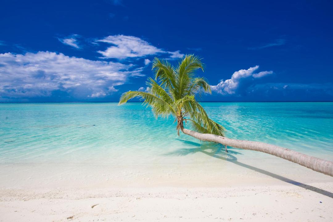 Photo of Others in Thimarafushi