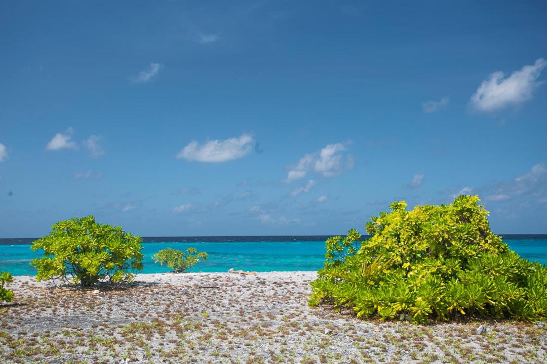 Photo of Others in Thimarafushi