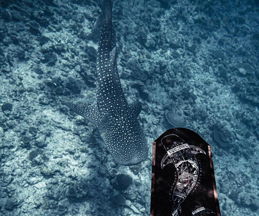 Photo of Others in Maafushi