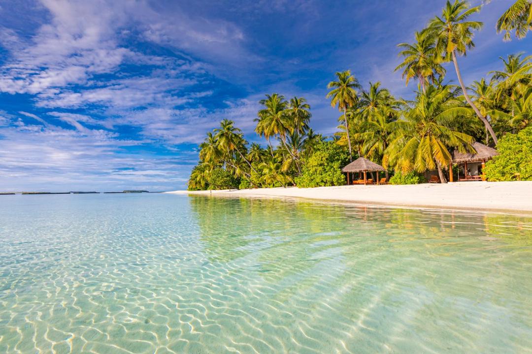 Photo of Others in Vilu Reef