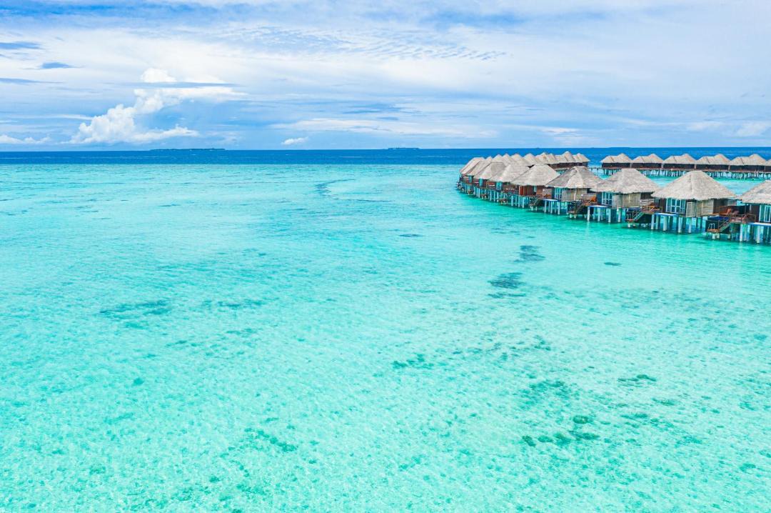 Photo of Others in Vilu Reef