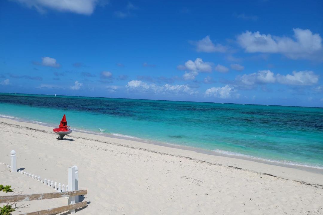 Photo of Others in The Bight