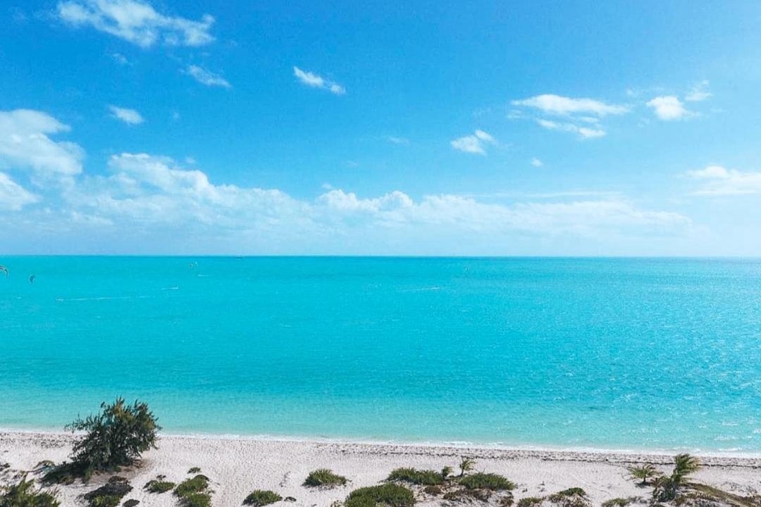 Photo of Outdoor in Long Bay