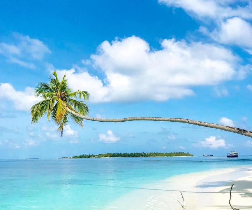 Photo of Others in Thimarafushi
