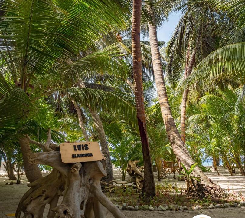 Photo of Others in Dharavandhoo
