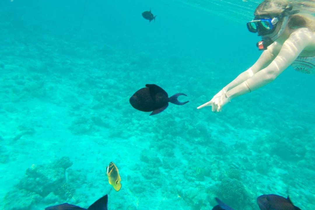 Photo of Others in Ukulhas